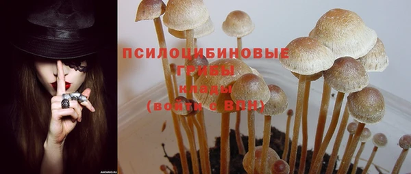 таблы Осинники