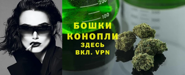 таблы Осинники