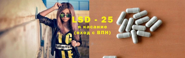 таблы Осинники