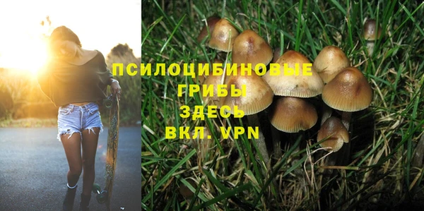 герыч Алексин