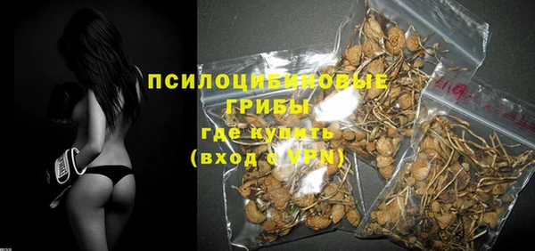 МДПВ Осташков